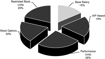 CEO PIE CHART